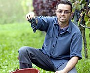 Pick your own grapes