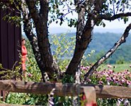 wine3