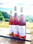 Tasting and Pairing Class - Rosé Wines