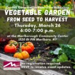 Vegetable Garden: From Seed to Harvest