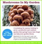 Mushrooms In My Garden: A Workshop