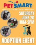 Take Me Home: Pet Rescue