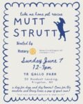 Mutt Strutt: Take Me Home Pet Rescue