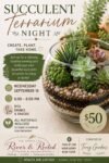 Succulent Terrarium Night