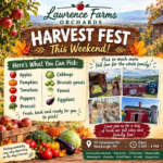 Harvest Fest