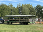 Harvest Festival